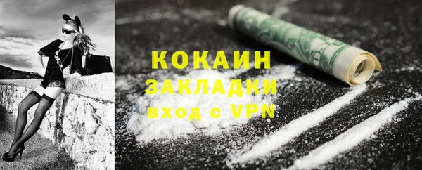 прущие грибы Аркадак